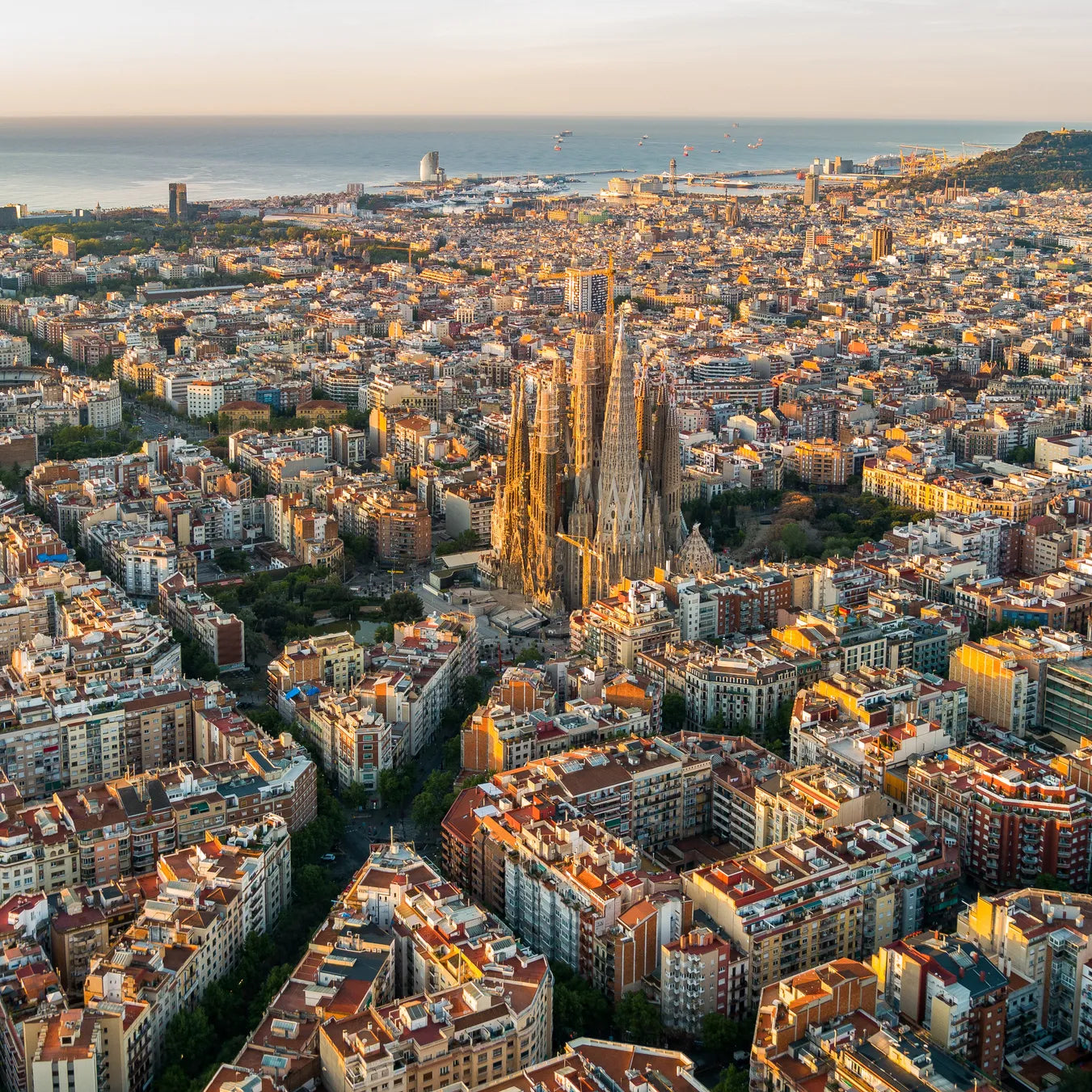 Talleres Barcelona
